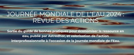 Journée mondiale de l'eau 2024 : revue des actions et guide des bonnes pratiques | HORTICULTURE | Scoop.it