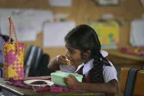 Garantir un repas pour chaque enfant à l’école : 92 pays engagés pour l’ALIMENTATION scolaire se réunissent à Paris | CIHEAM Press Review | Scoop.it