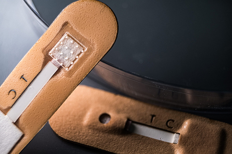 Microneedle Bandage Detects Malaria in Minutes | In-Vitro Diagnostic | Scoop.it