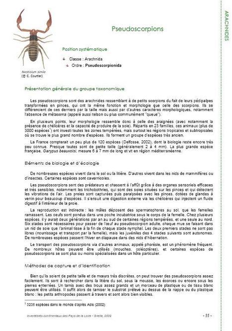 Dossiers et téléchargements du Gretia | Insect Archive | Scoop.it