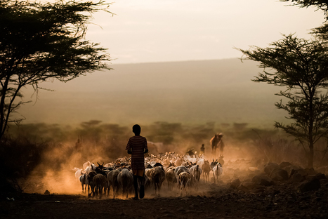 How close are we to #ZeroHunger? The new World Food Security Report of FAO | DURABILITES | Scoop.it