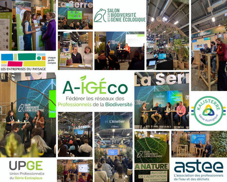 A-IGÉco Echos N°18 - Novembre 2025 - La lettre d'information de l’association des Acteurs de l’Ingénierie et du Génie écologiques  | Biodiversité | Scoop.it
