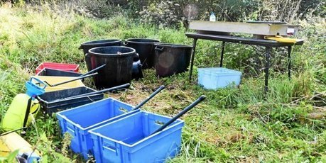 Écologie. Les poissons du Ris sous surveillance - Douarnenez - LeTelegramme.fr | Biodiversité | Scoop.it