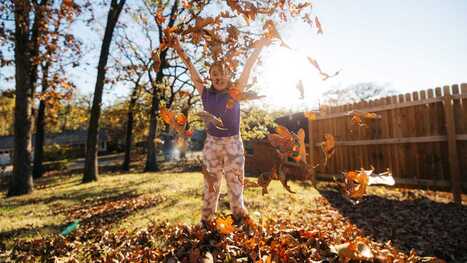 Don’t miss your chance for free yard waste pickup in Bartlesville | Industry 411 - Waste Management | Scoop.it