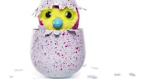 How a Toronto company invented this year's hottest toy: Hatchimals | consumer psychology | Scoop.it
