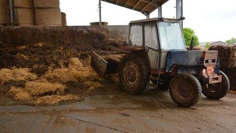 L'Idele propose des solutions de stockage d'effluents à moindre coût | Elevage et environnement | Scoop.it