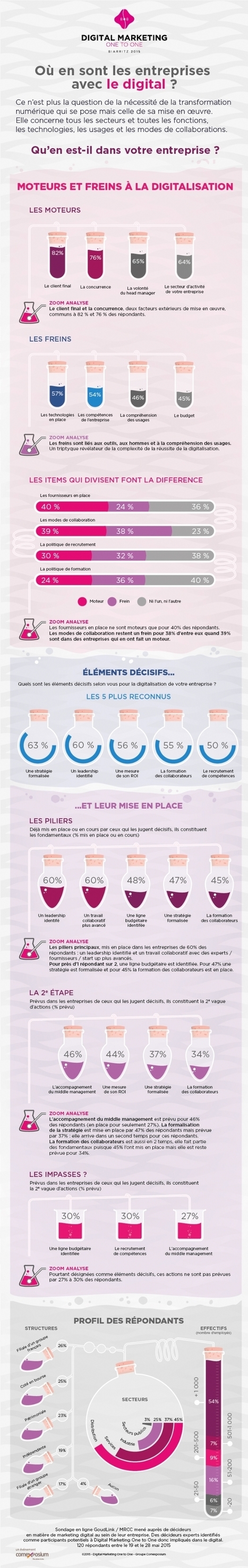 Infographie | Quels sont les moteurs et les freins à la digitalisation des entreprises ? | Digital infographics | Scoop.it
