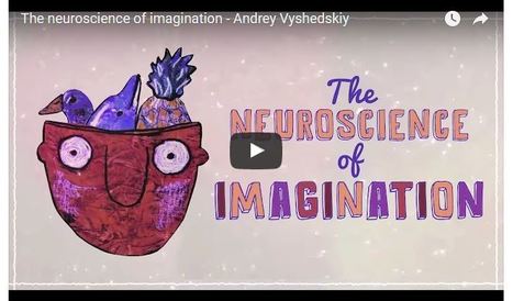What&rsquo;s Happening In The Brain When Your Imagination Is Active? | Linguistics & Language Neurology | Scoop.it