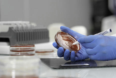 BioM&eacute;rieux projette d&rsquo;investir 300 millions d&rsquo;euros en France d&rsquo;ici 2028, principalement en R&eacute;gion AURA | Actu des entreprises (recrutement, implantation, cr&eacute;ation ...) | Scoop.it