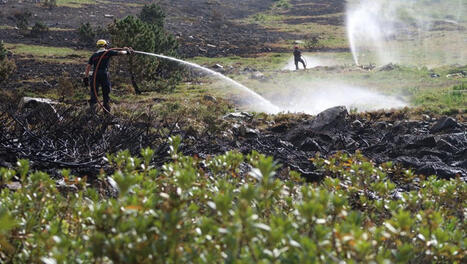 Plus de 15 hectares de v&eacute;g&eacute;tation partis en fum&eacute;e &agrave; la suite d'un incendie toujours actif dans les Hautes-Pyr&eacute;n&eacute;es | Vall&eacute;es d'Aure & Louron - Pyr&eacute;n&eacute;es | Scoop.it