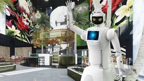 Hotel Sky is a hotel of the future with its AI robots and self check-in | Customer service in tourism | Scoop.it