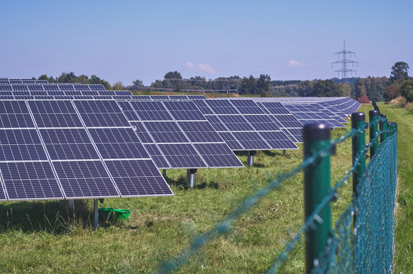 Solaire : l'agrivoltaïsme sort de l'ombre