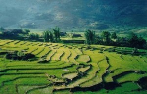 Sapa | Voyage au coeur du Vietnam | Scoop.it