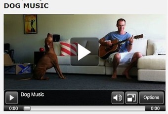 Do you believe in dog?: What music do dogs prefer? Bach vs. Snoop Dogg | Science News | Scoop.it