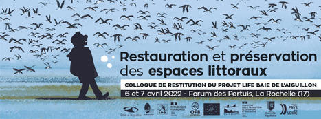Colloque " Restauration et préservation des espaces les 6 et jeudi 7 avril 2022 à La Rochelle | ECOLOGIE - ENVIRONNEMENT | Scoop.it