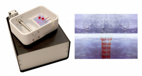 Cette bio-imprimante 3D peut imprimer des greffons de peau sur demande pour les grands brûlés | Newelly | FabLab | Scoop.it