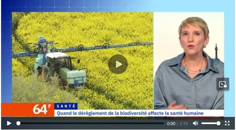 Le One Health Summit en qu&ecirc;te d'une r&eacute;ponse globale &agrave; la sant&eacute; humaine, animale et des &eacute;cosyst&egrave;mes - TV5 monde | Biodiversit&eacute; | Scoop.it