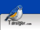 Tarsiger.com lintujen ääniä | 1Uutiset - Lukemisen tähden | Scoop.it
