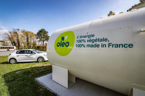 La ru&eacute;e vers les agrocarburants, un risque pour la s&eacute;curit&eacute; alimentaire mondiale | ITERG - Veille sectorielle | Scoop.it