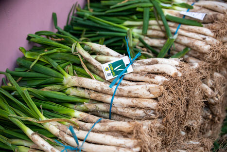 ALIMENTATION : &laquo; War on terroir &raquo; : l&rsquo;Europe prend l&rsquo;avantage apr&egrave;s la volte-face de l'Australie&nbsp; | ALIMENTATIONS | Scoop.it