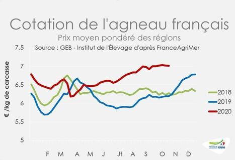 La cotation de l’agneau français se stabilise à des niveaux très soutenus | Actualité Bétail | Scoop.it