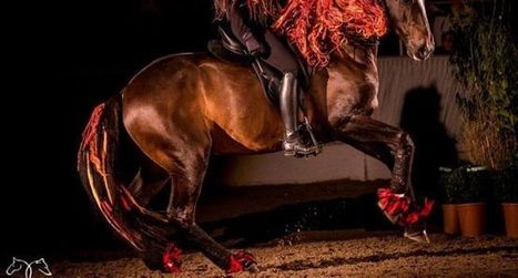 Nuit du cheval :  Alizée Froment en vedette | Salon du Cheval | Scoop.it