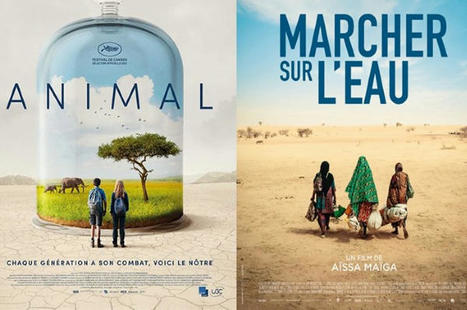 Festival de Cannes : une sélection spéciale sur le climat et l’écologie | Vers la transition des territoires ! | Scoop.it