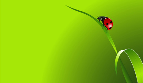 Gestion des ravageurs des cultures par les auxiliaires | Variétés entomologiques | Scoop.it