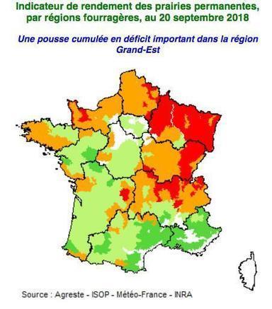En septembre, la pousse cumul&eacute;e des prairies devient d&eacute;ficitaire au niveau national | Elevage et environnement | Scoop.it