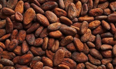 C&ocirc;te d'Ivoire : "Cacao : ce que la baisse du prix implique pour les producteurs ivoiriens en 2026/2027" | Revue de Presse Afrique francophone par Service International de CCI Normandie | Scoop.it