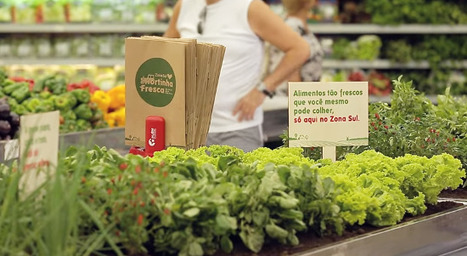 Ils font pousser des légumes dans les rayons | IPCI : Ingénierie de Produits à l'interface Cuisine-Industrie | Scoop.it