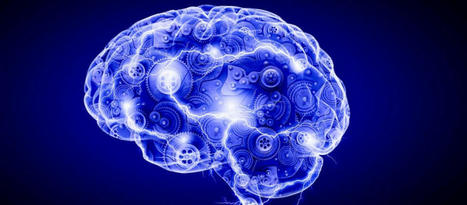 The Reversal of Cognitive Decline In the Brain | Call: 915-850-0900 | The Gut "Connections to Health & Disease" | Scoop.it