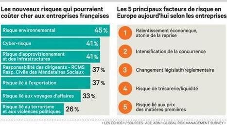 Les « risk managers » au milieu du gué | Management global des risques - Gestion et communication de crise | Scoop.it