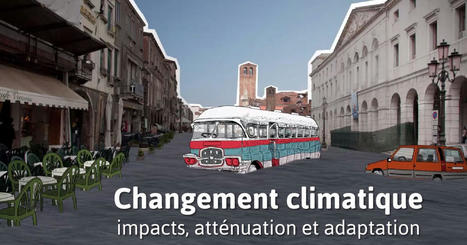 Changement climatique : impacts, atténuation et adaptation - Cours | EntomoScience | Scoop.it