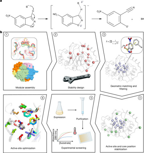 Complete computational design of high-efficiency Kemp elimination enzymes | nat | RMH | Scoop.it