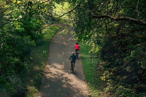 La for&ecirc;t d'Orl&eacute;ans, nouveau moteur du tourisme vert dans le Loiret | Strat&eacute;gie de territoires et offices de tourisme | Scoop.it