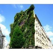 Le bâtiment végétalisé cherche un second souffle - Paysage | architecture, urbanisme, environnement, paysage, énergie, territoires... : le fil d'actu de la FNCAUE | Scoop.it