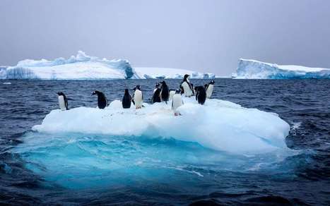 Ce sont les rivières atmosphériques qui font fondre l'Antarctique | ECOLOGIE - ENVIRONNEMENT | Scoop.it