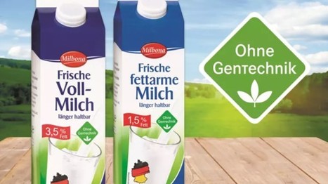 DMK : la production de lait sans OGM peut être temporairement suspendue | Lait de Normandie... et d'ailleurs | Scoop.it