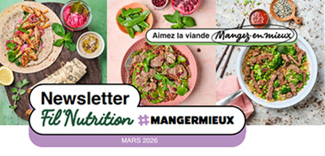 D&eacute;couvrez la Fil&rsquo;Nutrition : La nouvelle newsletter d&rsquo;INTERBEV d&eacute;di&eacute;e aux atouts nutritionnels de la viande | AGROALIMENTAIRE | Scoop.it