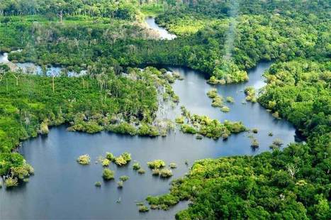 Imperiled Amazon freshwater ecosystems | Rainforest CLASSROOM | Scoop.it
