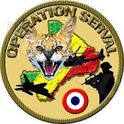 Mali : vastes frappes aériennes, combats au sol | GUERRE AU MALI - FRENCH MILITARY OPERATIONS IN MALI | Scoop.it