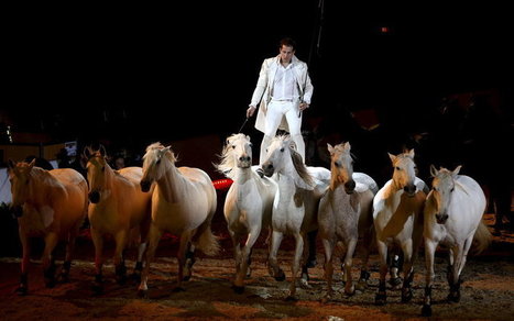 Avignon : 50 nuances de passion du cheval | Salon du Cheval | Scoop.it