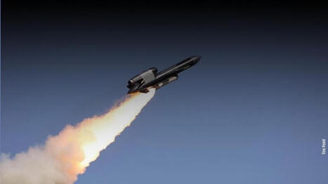 Safran fournit le syst&egrave;me de guidage du missile de croisi&egrave;re &agrave; longue port&eacute;e ukrainien FP-5 Flamingo | DEFENSE NEWS | Scoop.it