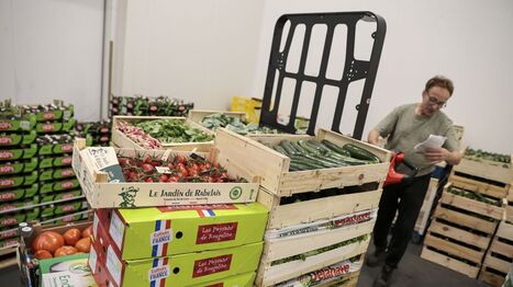 La canicule impacte fortement la fili&egrave;re fruits et l&eacute;gumes d&rsquo;Indre-et-Loire | Revue de presse &eacute;conomique du Sud Touraine | Scoop.it