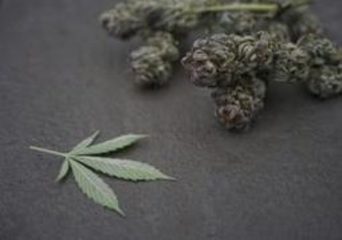 Fla. couple accidentally smuggles 11 pounds of marijuana from Louisiana: sheriff - New York Daily News | ReactNow - Latest News updated around the clock | Scoop.it