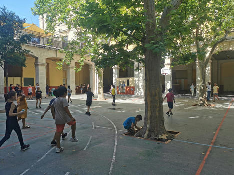 Avec la canicule, les cours d’école toulonnaises passent du minéral au végétal | Regards croisés sur la transition écologique | Scoop.it