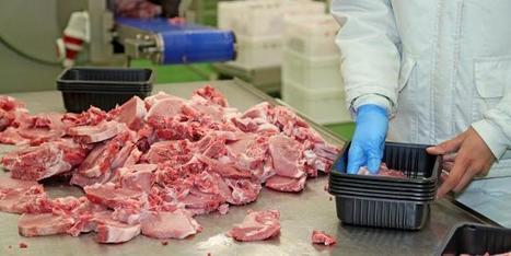 Belgique. Il n'y a pas que Veviba: un autre abattoir, cette fois en Flandre, a aussi livré de la viande périmée au Kosovo | La Gazette des abattoirs | Scoop.it