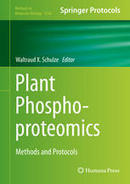 Methods in Mol Biol: Phosphopeptide Immuno-Affinity Enrichment to Enhance Detection of Tyrosine Phosphorylation in Plants (2015) | Publications from The Sainsbury Laboratory | Scoop.it