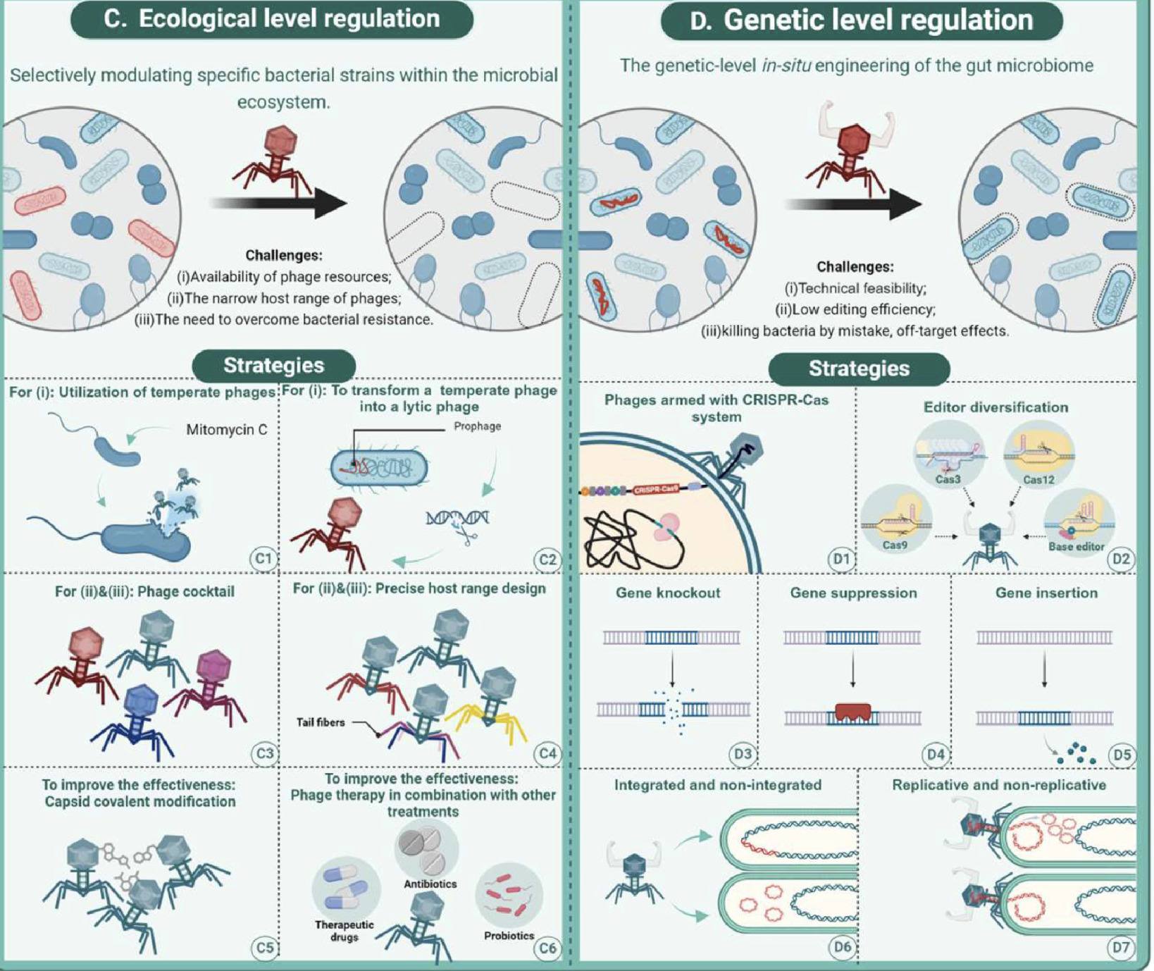 Applications of bacteriophages in precision eng...